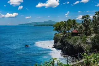 Illustration: A cliffside tropical coast with lush trees, a small pavilion, and a calm blue ocean under a sunny sky.