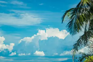 Illustration: Fluffy white cumulus clouds under a bright blue sky with green palm leaves in the foreground.
