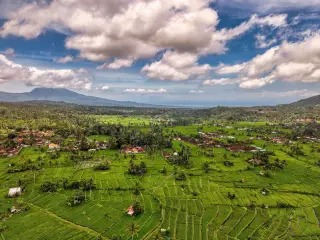 Illustration: Aerial view of vast green terraced rice fields and a rural village with mountains in the background.