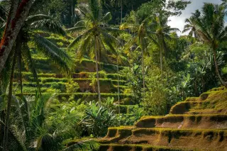 Bali deepens airline and OTA cooperation to raise foreign tourist levy compliance