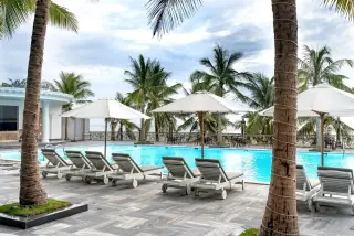 Illustration: Empty lounge chairs and umbrellas beside a swimming pool lined with palm trees.
