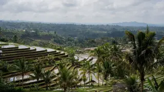 Bali visa on arrival: who can get it, how long it lasts and what it costs