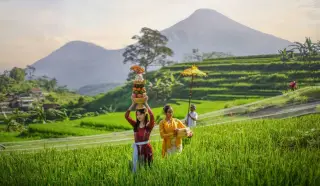 Illustration: Balinese women in traditional dress carry ceremonial offerings through terraced rice fields with mountains.