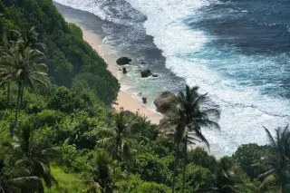 Illustration: Elevated view of a tropical sandy beach with breaking waves, rocks, and lush green palm trees.