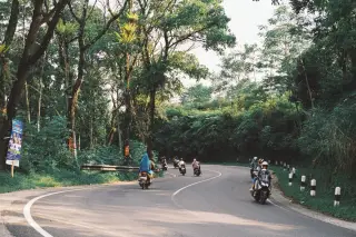 Illustration: Motorcyclists ride along a winding paved road bordered by lush tropical trees.