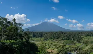 Illustration: A large volcano rises behind lush green rice terraces and palm trees under a blue sky.