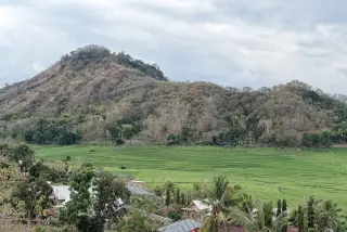 Archive photo: Rice fields on Flores Island in West Manggarai Regency, Indonesia.