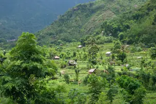 Archive photo: Valleys of rice fields on rich volcanic soil are interspersed with lofty old-growth forest on the northeastern slopes of Mount Lempuyang/Seraya i…