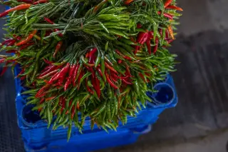 Illustration: Bundles of fresh red and green chili peppers rest on a blue plastic crate.