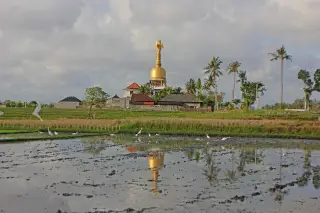 Archive photo: Bayangan Genta dipersawahan.