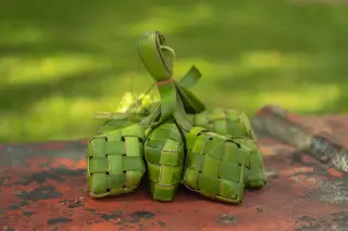 Illustration: A bundle of green woven palm leaf rice cakes resting outdoors on a rustic surface.