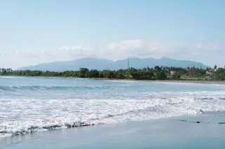 Lovina’s dolphin tourism raises conservation and welfare concerns