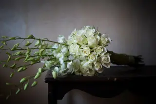 Illustration: A bouquet of white flowers resting horizontally on a dark wooden table.