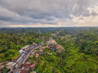 Illustration: Aerial view of a road and buildings alongside terraced rice fields and dense tropical forest.