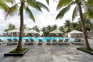 Illustration: Empty sun loungers and umbrellas line a resort swimming pool surrounded by palm trees.