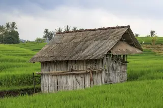 Archive photo: Tabanan Regency, Bali, Indonesia: A skewed rice farmer's hut inmiddle of his paddy.