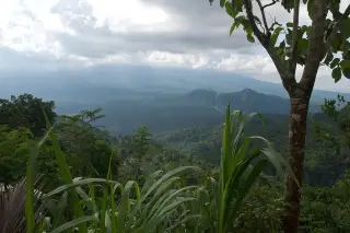 Archive photo: Tropical forest/jungle on the northwestern slopes of Mount Lempuyang.