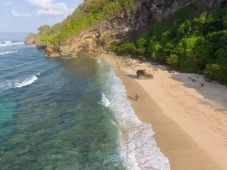 Bali environment data: what the official figures show