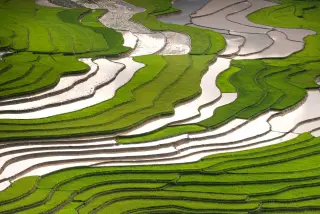 Bali Governor Defends Farmland Rules Amid Investment Pressure