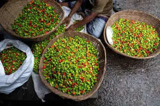 Illustration: A vendor sits sorting mounds of fresh green and red peppers in large woven baskets on the ground.