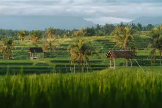 Hari Raya Nyepi explained: meaning, rules and when it falls
