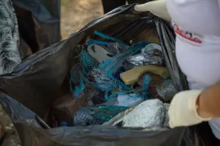 Illustration: A person wearing gloves holds open a black plastic trash bag filled with collected debris.