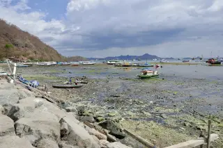 Archive photo: Labuan Bajo Harbour by isabell Schulz.
