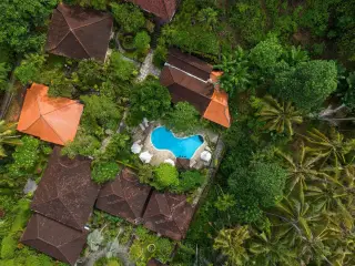 Illustration: Aerial view of tropical villa roofs with a curved swimming pool surrounded by lush green trees.