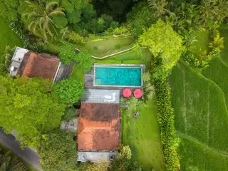 Illustration: An aerial view of a villa with a swimming pool surrounded by green rice fields and tropical trees.