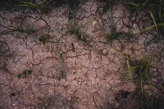 Illustration: Overhead close-up of dry cracked earth with sparse blades of green grass.