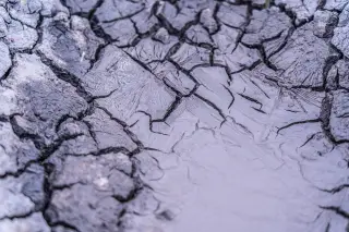 Illustration: Close-up of cracked dry mud with a small pool of murky water in the center.