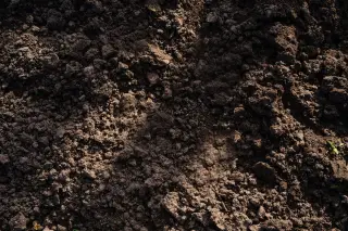 Illustration: A top-down view of dark, freshly tilled soil under natural sunlight.