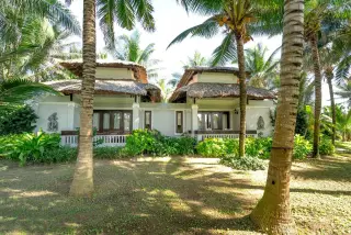 Illustration: Tropical thatched-roof villas surrounded by lush palm trees and green gardens.