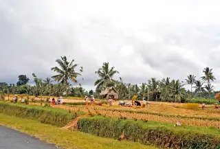 Archive photo: 081 Nr Klungkung, Bali 1971.