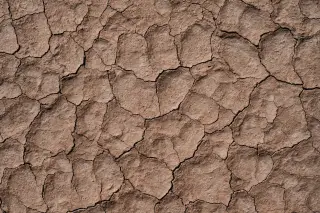 Illustration: Top-down close-up shot of dry, cracked clay soil.