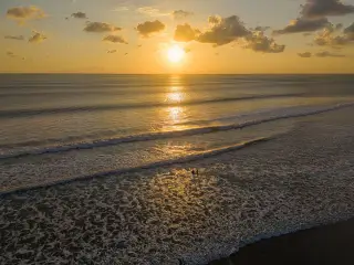 Illustration: A wide aerial view of the ocean beach at sunset with waves and silhouettes.