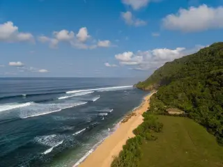 Illustration: Aerial view of an empty sandy beach bordered by forested hills and breaking ocean waves.