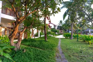 Illustration: A stone pathway through a lush green garden outside tropical resort villas.