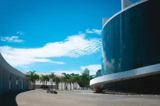 Illustration: A modern curved glass building and a paved plaza lined with palm trees under a blue sky.