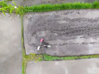Illustration: An aerial view of a farmer plowing a muddy rice field with a hand tractor.