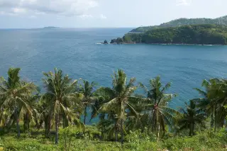 Archive photo: Lombok, Bay, Tropical palm trees, Indonesia.