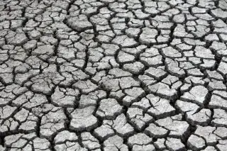 Illustration: A close-up view of severely cracked, dry grey soil.