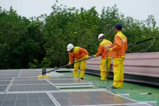 Illustration: Workers in protective suits and helmets clean rooftop solar panels against a backdrop of trees.