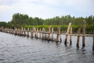 Illustration: A rustic wooden fence stands in a body of water in front of lush green coastal vegetation.