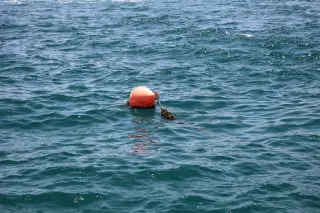 Three Tourists Dead After Sumbawa Beach Incident