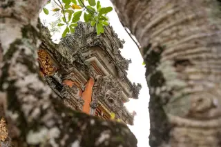 Illustration: An ornate Balinese temple structure framed by tree trunks in the foreground.
