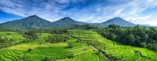 Archive photo: Jatiluwih, UNESCO World Heritage site.