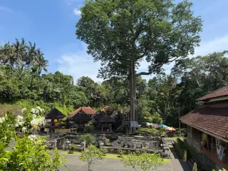 Illustration: A Balinese temple complex surrounded by lush trees and a tall banyan tree under a blue sky.
