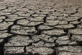 Illustration: Close-up view of dry and cracked parched soil.