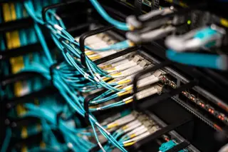 Illustration: Close-up of numerous blue fiber optic cables connected to a server rack patch panel.
